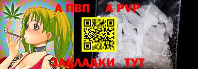 стафф Тверь