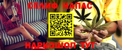 стафф Тверь